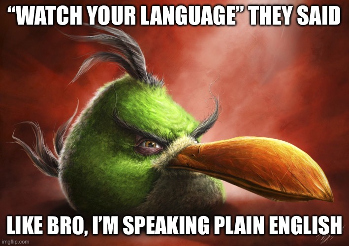 angr bord | “WATCH YOUR LANGUAGE” THEY SAID; LIKE BRO, I’M SPEAKING PLAIN ENGLISH | image tagged in realistic hal | made w/ Imgflip meme maker