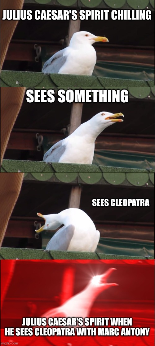 Inhaling Seagull | JULIUS CAESAR'S SPIRIT CHILLING; SEES SOMETHING; SEES CLEOPATRA; JULIUS CAESAR'S SPIRIT WHEN HE SEES CLEOPATRA WITH MARC ANTONY | image tagged in memes,inhaling seagull | made w/ Imgflip meme maker