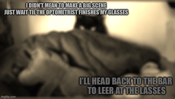 making plans | I DIDN’T MEAN TO MAKE A BIG SCENE
JUST WAIT TIL THE OPTOMETRIST FINISHES MY GLASSES I’LL HEAD BACK TO THE BAR 
TO LEER AT THE LASSES | image tagged in making plans | made w/ Imgflip meme maker