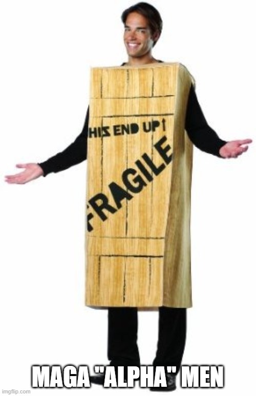 Fragile Man | MAGA "ALPHA" MEN | image tagged in fragile man | made w/ Imgflip meme maker