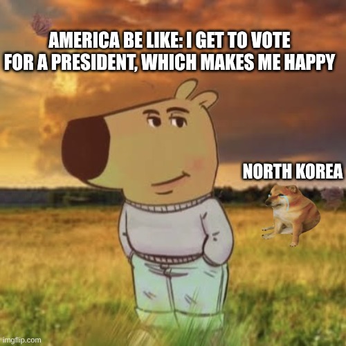 Keep Democracy in America, Please!!!! | AMERICA BE LIKE: I GET TO VOTE FOR A PRESIDENT, WHICH MAKES ME HAPPY; NORTH KOREA | image tagged in chill guy | made w/ Imgflip meme maker