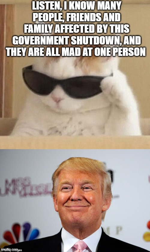 Talk to actual people affected by this not X propaganda | LISTEN, I KNOW MANY PEOPLE, FRIENDS AND FAMILY AFFECTED BY THIS GOVERNMENT SHUTDOWN, AND THEY ARE ALL MAD AT ONE PERSON | image tagged in cool cat,donald trump approves | made w/ Imgflip meme maker