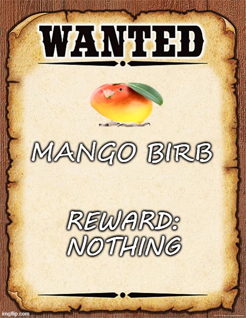 birb | MANGO BIRB; REWARD:
NOTHING | image tagged in wanted poster | made w/ Imgflip meme maker
