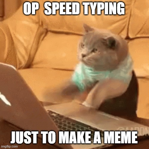 Cat typing frantically | OP  SPEED TYPING JUST TO MAKE A MEME | image tagged in cat typing frantically | made w/ Imgflip meme maker