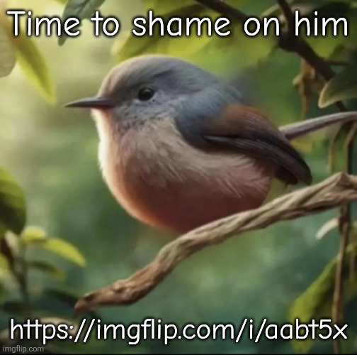 https://imgflip.com/i/aabt5x | Time to shame on him; https://imgflip.com/i/aabt5x | image tagged in no balls | made w/ Imgflip meme maker