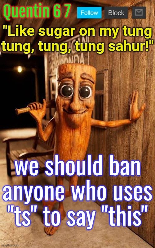 Quentin's Tung Tung Sahur template | we should ban anyone who uses "ts" to say "this" | image tagged in quentin's tung tung sahur template | made w/ Imgflip meme maker