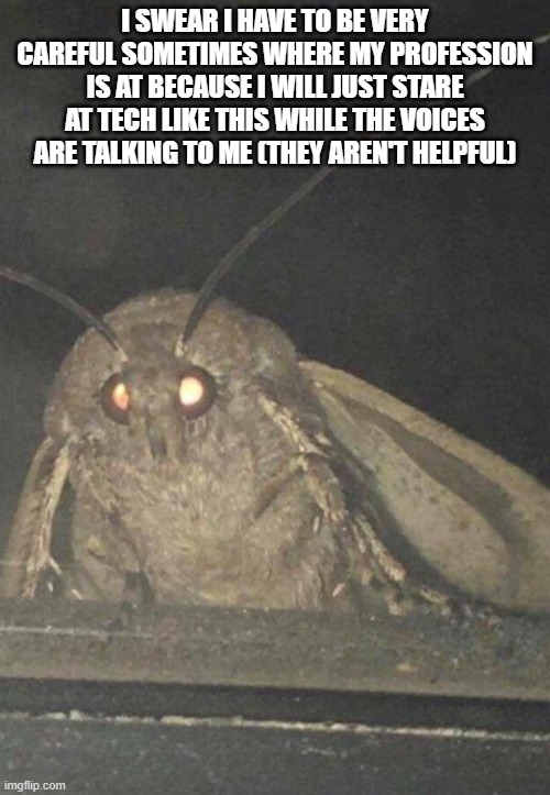 moth to flame | I SWEAR I HAVE TO BE VERY CAREFUL SOMETIMES WHERE MY PROFESSION IS AT BECAUSE I WILL JUST STARE AT TECH LIKE THIS WHILE THE VOICES ARE TALKING TO ME (THEY AREN'T HELPFUL) | made w/ Imgflip meme maker