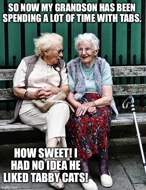 When you have no clue what TABS is | SO NOW MY GRANDSON HAS BEEN
SPENDING A LOT OF TIME WITH TABS. HOW SWEET! I HAD NO IDEA HE LIKED TABBY CATS! | image tagged in old ladies,gaming,memes,funny,relatable,granny | made w/ Imgflip meme maker