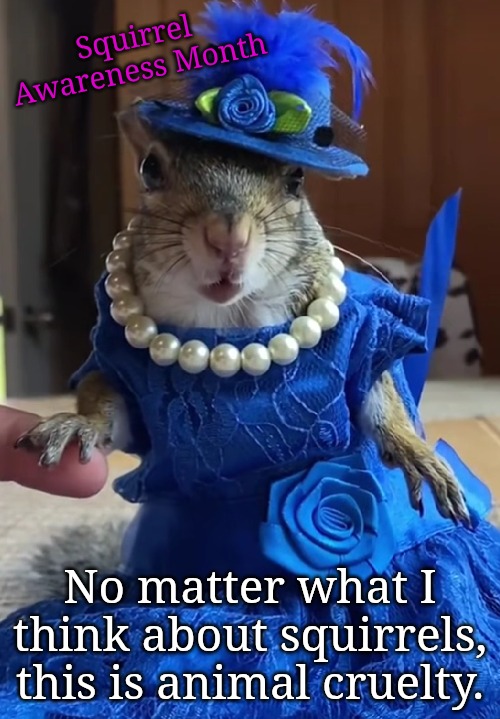 Squirrel Awareness Month: even so, they don't deserve this | Squirrel Awareness Month; No matter what I think about squirrels, this is animal cruelty. | image tagged in do not not not touch the squirrels,this is too much,animal cruelty | made w/ Imgflip meme maker