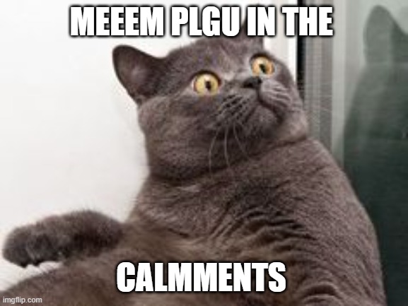 I maid it | MEEEM PLGU IN THE; CALMMENTS | image tagged in the moment when you realise exams are in a month | made w/ Imgflip meme maker