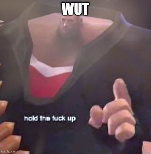 Hold the F@%K up Heavy | WUT | image tagged in hold the f k up heavy | made w/ Imgflip meme maker
