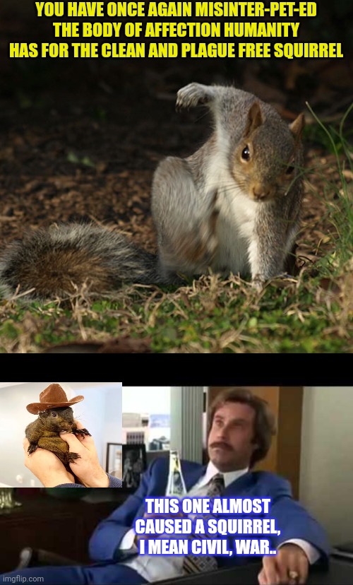 YOU HAVE ONCE AGAIN MISINTER-PET-ED THE BODY OF AFFECTION HUMANITY HAS FOR THE CLEAN AND PLAGUE FREE SQUIRREL THIS ONE ALMOST CAUSED A SQUIR | image tagged in memes,well that escalated quickly | made w/ Imgflip meme maker