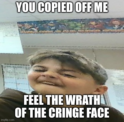 school meme | YOU COPIED OFF ME; FEEL THE WRATH OF THE CRINGE FACE | image tagged in stupid,dies from cringe,funny,stupid people | made w/ Imgflip meme maker