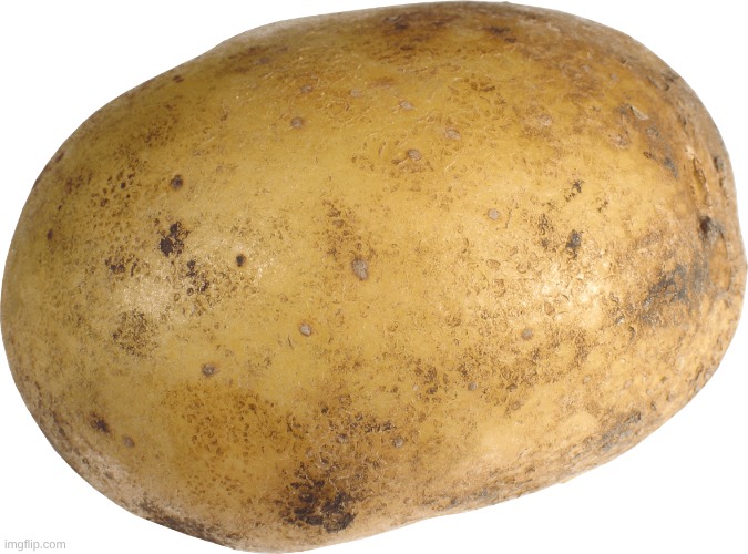 Potato | image tagged in potato | made w/ Imgflip meme maker