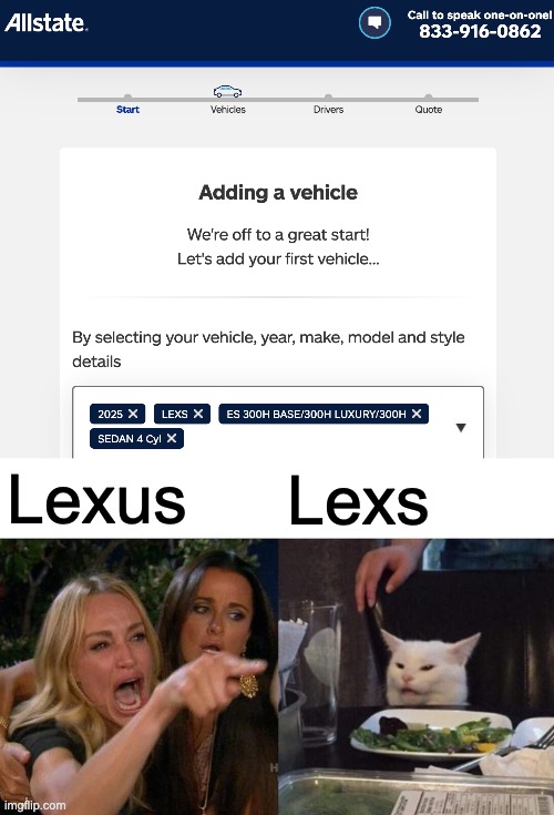 what's a "lexs"? | Lexus; Lexs | image tagged in memes,woman yelling at cat | made w/ Imgflip meme maker