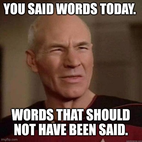 Dafuq Picard | YOU SAID WORDS TODAY. WORDS THAT SHOULD NOT HAVE BEEN SAID. | image tagged in dafuq picard | made w/ Imgflip meme maker