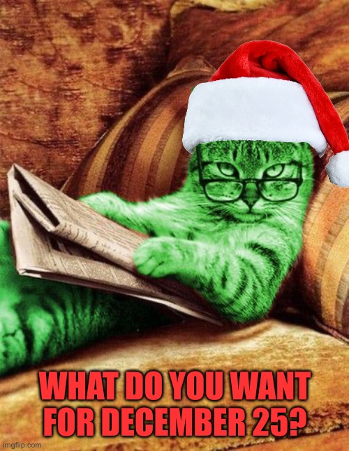 RayHoliCat | WHAT DO YOU WANT
FOR DECEMBER 25? | image tagged in factual raycat,memes | made w/ Imgflip meme maker