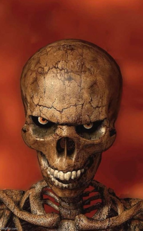 Staring Skeleton | image tagged in staring skeleton | made w/ Imgflip meme maker