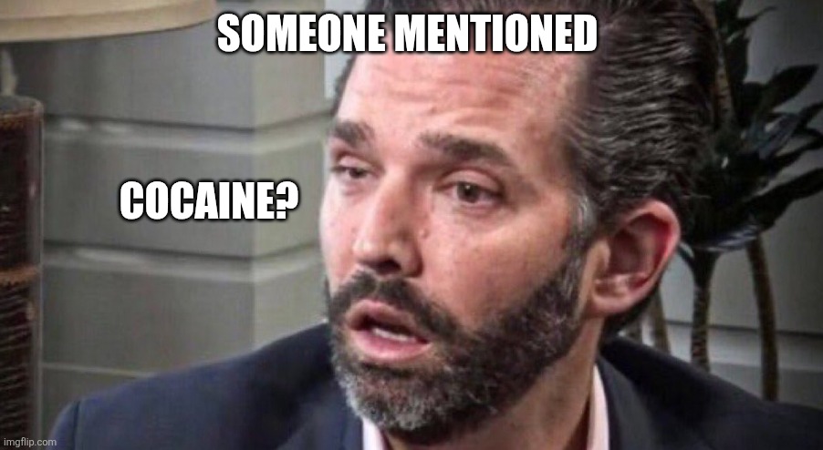 don trump jr coked up (facing left) | SOMEONE MENTIONED COCAINE? | image tagged in don trump jr coked up facing left | made w/ Imgflip meme maker