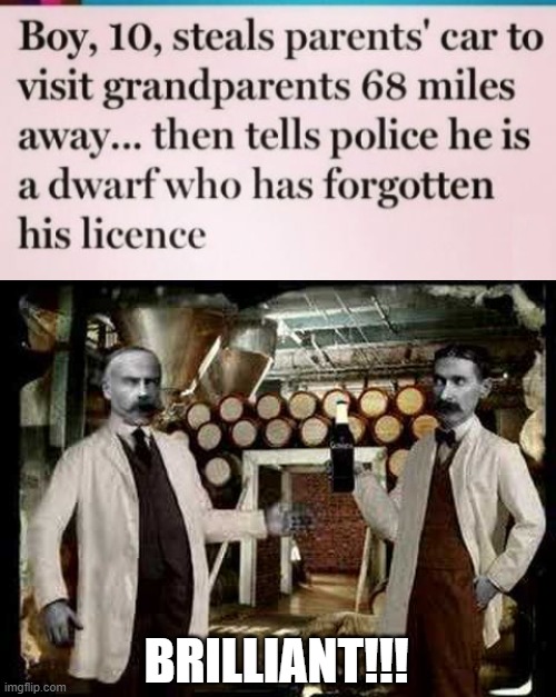 Clever Boy | BRILLIANT!!! | image tagged in brilliant | made w/ Imgflip meme maker