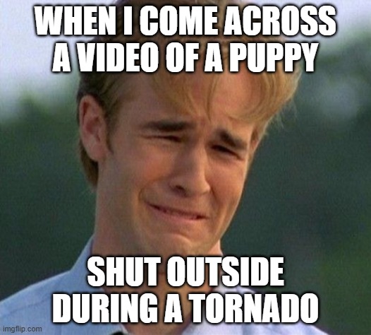Don't worry, it's not real, it's A.I. But the concept though. | WHEN I COME ACROSS A VIDEO OF A PUPPY; SHUT OUTSIDE DURING A TORNADO | image tagged in memes,1990s first world problems,puppy,dogs,tornado,sora | made w/ Imgflip meme maker