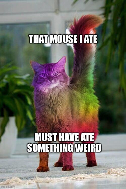 Psychedelic Mouse | THAT MOUSE I ATE; MUST HAVE ATE SOMETHING WEIRD | image tagged in mouse,delicious,psychedelic,food for thought,chemistry cat | made w/ Imgflip meme maker