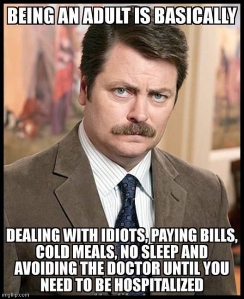 Being An Adult | image tagged in repost | made w/ Imgflip meme maker