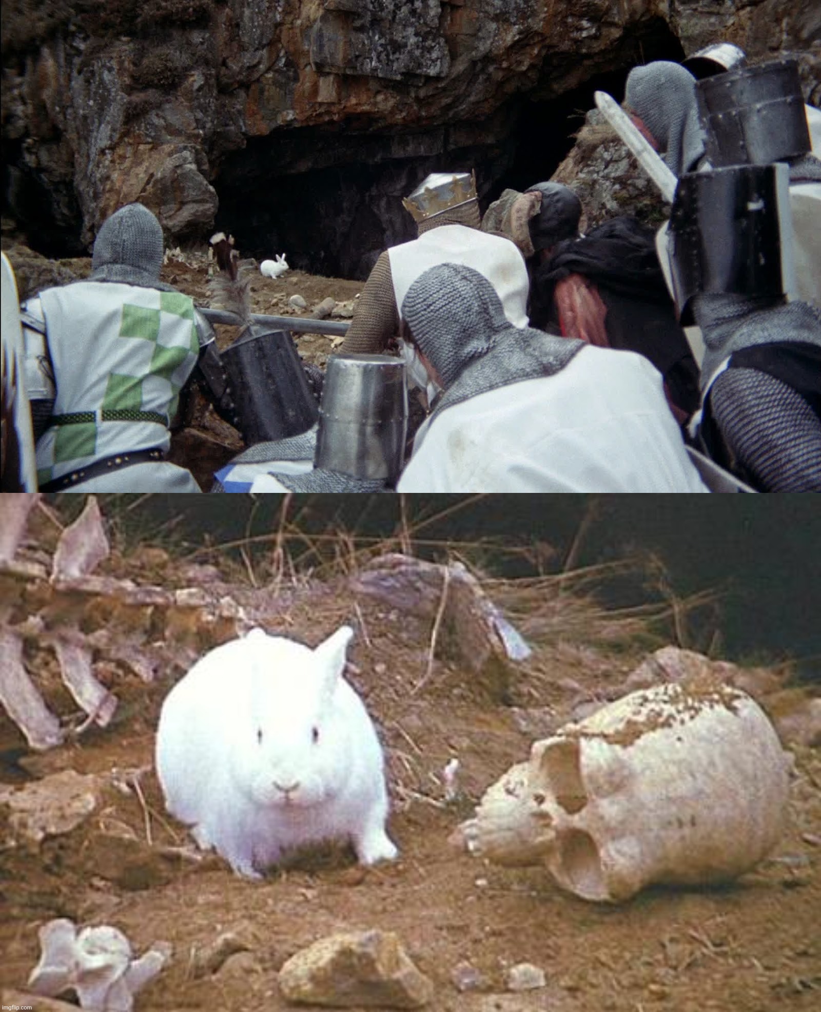 image tagged in monty python rabbit | made w/ Imgflip meme maker