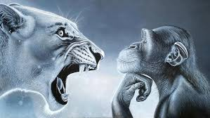 High Quality ragebait Blank Meme Template