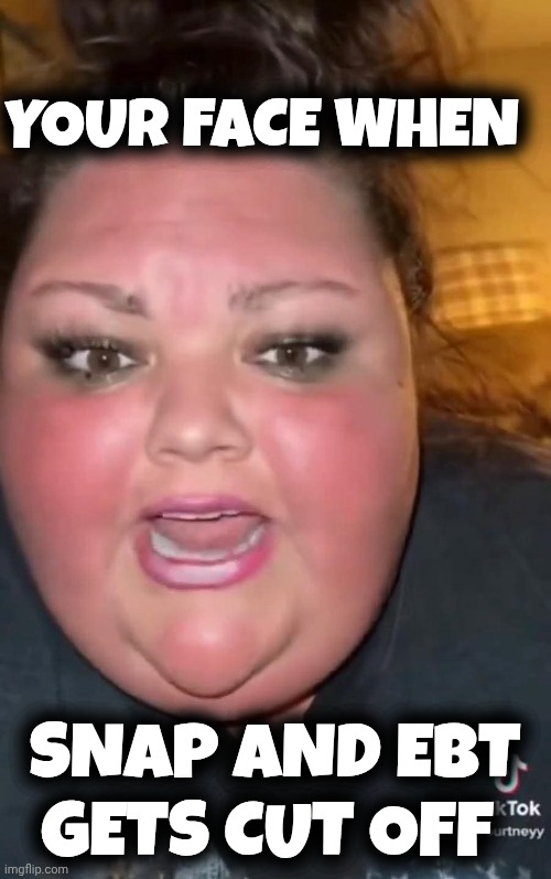 liberal women memes | YOUR FACE WHEN; SNAP AND EBT GETS CUT OFF | image tagged in stupid liberals | made w/ Imgflip meme maker