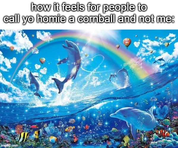 they finally callin libra a cornball lets gooo | how it feels for people to call yo homie a cornball and not me: | image tagged in happy dolphin rainbow | made w/ Imgflip meme maker