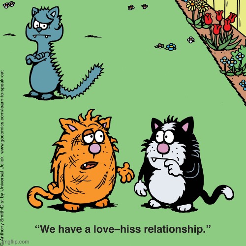 Learn to Speak Cat | image tagged in cats,learn to speak cat,comics,hissing,love hate | made w/ Imgflip meme maker