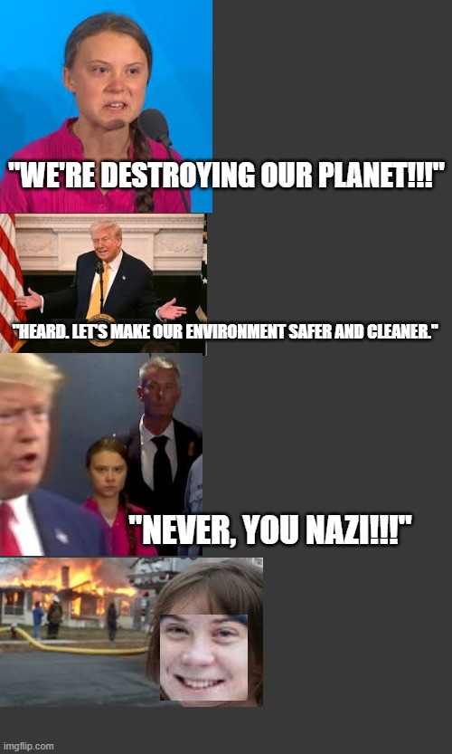 A bit irrelevant to the flow of the politics stream, but isn't it true, though? | "WE'RE DESTROYING OUR PLANET!!!"; "HEARD. LET'S MAKE OUR ENVIRONMENT SAFER AND CLEANER."; "NEVER, YOU NAZI!!!" | image tagged in greta thunberg,how dare you,trump,environment,disaster girl | made w/ Imgflip meme maker
