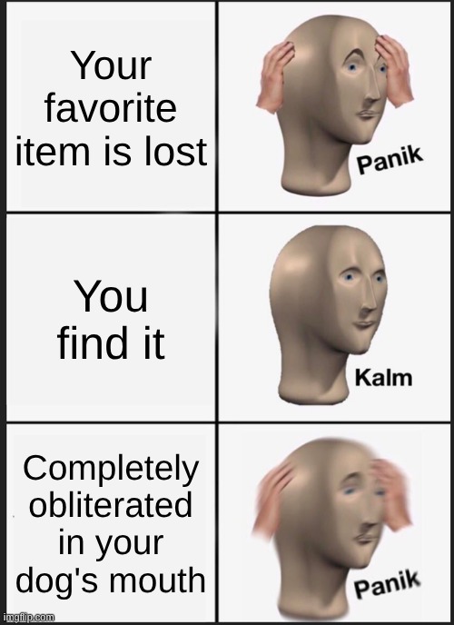 Cute but Crazy Dogs | Your favorite item is lost; You find it; Completely obliterated in your dog's mouth | image tagged in memes,panik kalm panik | made w/ Imgflip meme maker