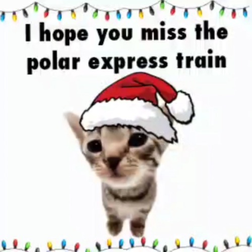 i hope you miss the polar express train | image tagged in i hope you miss the polar express train | made w/ Imgflip meme maker