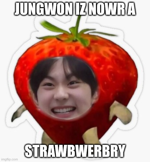 I'ma Strawbery | JUNGWON IZ NOWR A; STRAWBWERBRY | image tagged in strawbry jungwon,kpop,strawberry | made w/ Imgflip meme maker