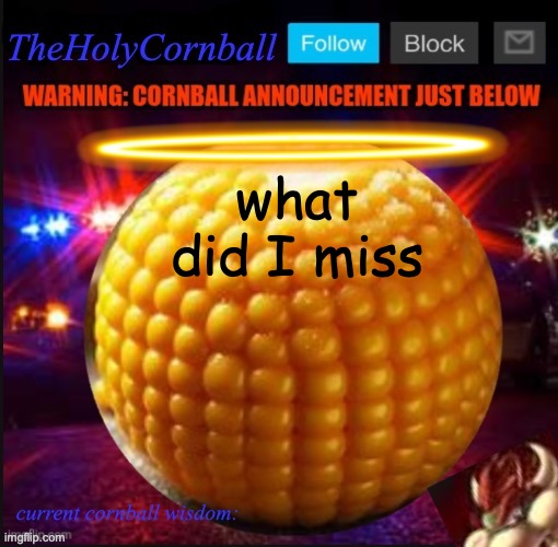 TheHolyCornball Announcement | what did I miss | image tagged in theholycornball announcement | made w/ Imgflip meme maker