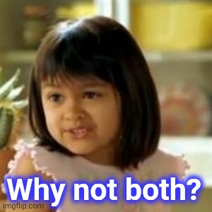Why not both? | Why not both? | image tagged in why not both | made w/ Imgflip meme maker