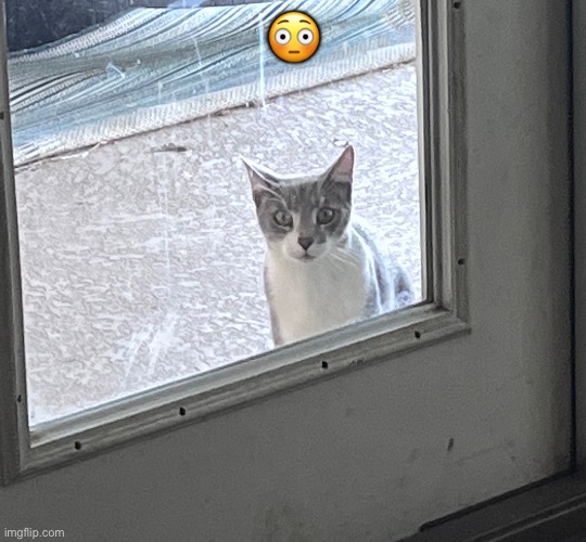 😳 | made w/ Imgflip meme maker