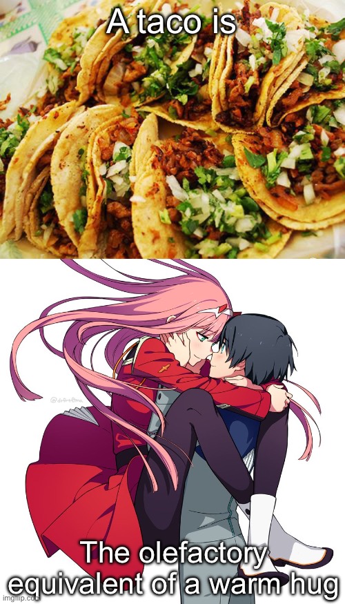 Tacos and Hugs | A taco is; The olefactory equivalent of a warm hug | image tagged in tacos,zero two hug,hug,warm,smell | made w/ Imgflip meme maker