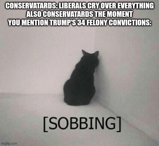 Sobbing cat | CONSERVATARDS: LIBERALS CRY OVER EVERYTHING
ALSO CONSERVATARDS THE MOMENT YOU MENTION TRUMP'S 34 FELONY CONVICTIONS: | image tagged in sobbing cat | made w/ Imgflip meme maker