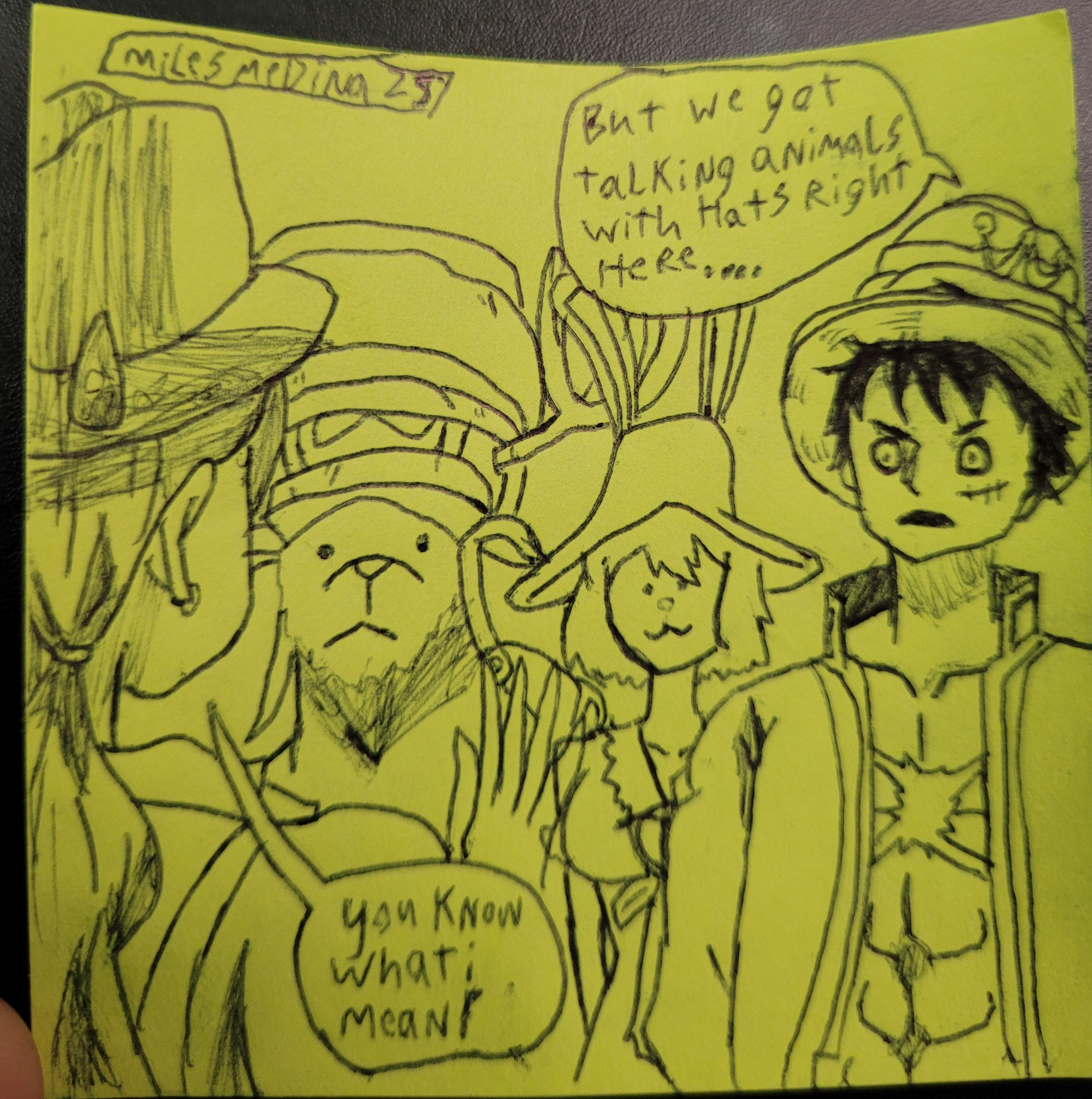 we have talking animals with hats, right here (one piece) Blank Meme Template