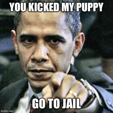 Pissed Off Obama Meme | YOU KICKED MY PUPPY GO TO JAIL | image tagged in memes,pissed off obama | made w/ Imgflip meme maker