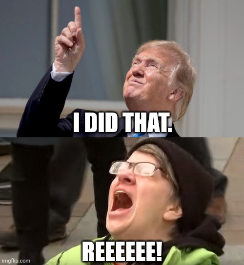 I DID THAT. REEEEEE! | image tagged in trump pointing up,liberal tears | made w/ Imgflip meme maker