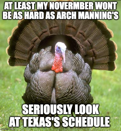 Turkey Meme | AT LEAST MY NOVERMBER WONT BE AS HARD AS ARCH MANNING'S; SERIOUSLY LOOK AT TEXAS'S SCHEDULE | image tagged in memes,turkey | made w/ Imgflip meme maker