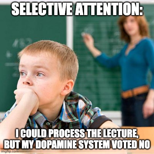 Selective Attention | SELECTIVE ATTENTION:; I COULD PROCESS THE LECTURE, BUT MY DOPAMINE SYSTEM VOTED NO | image tagged in kid not paying attention,attention,school | made w/ Imgflip meme maker