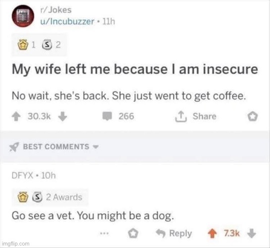 Wife left him | image tagged in husband,husband wife,wife,coffee,dog | made w/ Imgflip meme maker