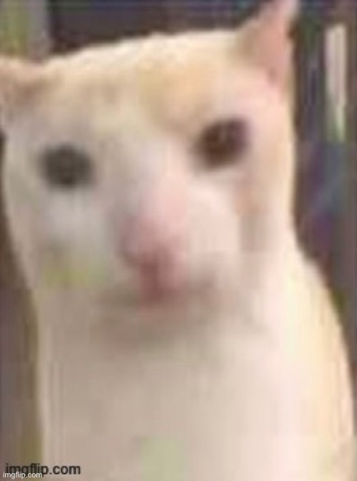 virian | image tagged in virian | made w/ Imgflip meme maker