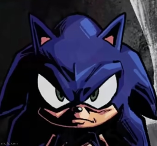 Dead Serious Sonic | image tagged in dead serious sonic | made w/ Imgflip meme maker