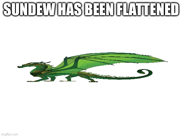SUNDEW HAS BEEN FLATTENED | made w/ Imgflip meme maker